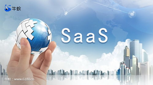 计算机信息技术开发中牛蚁的巧妙应用