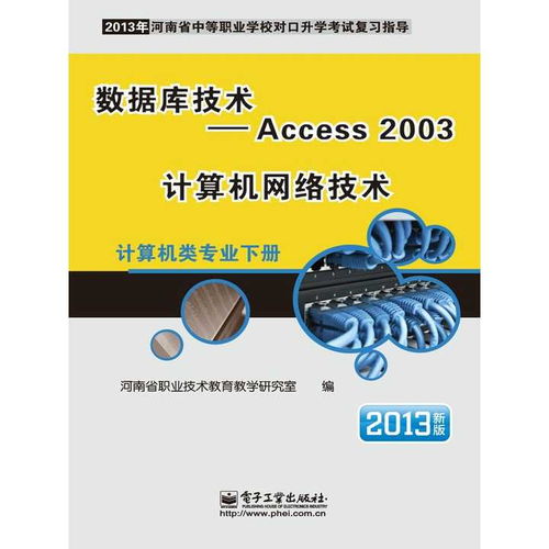 Access 2003与计算机网络技术 计算机信息技术开发的核心书籍推荐